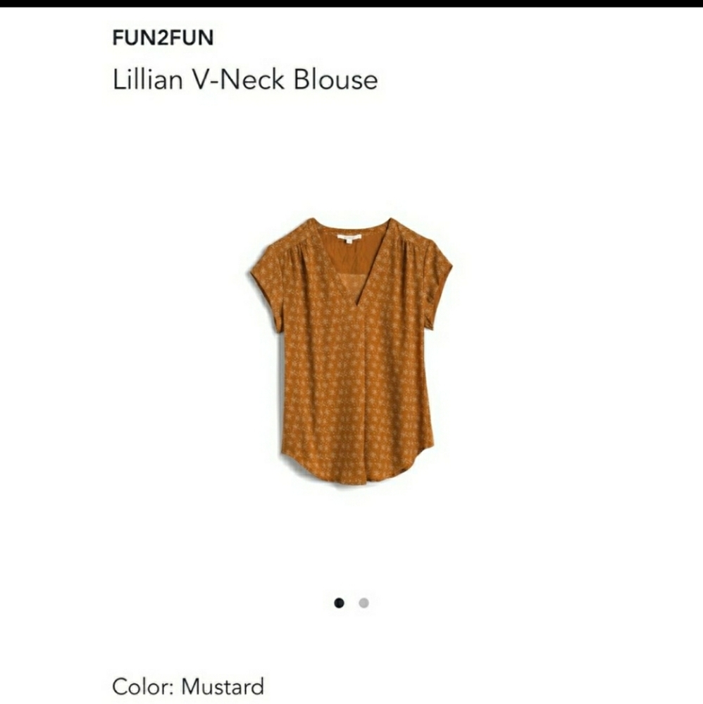 Fun2Fun Lillian V-Neck Blouse Mustard Stitch Fix